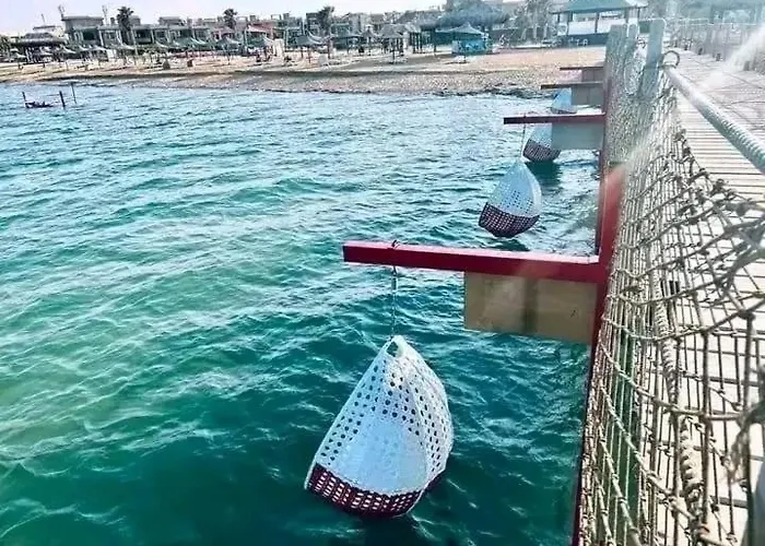 Bluebay Families Only مارسيليا بلوباي شاليه *